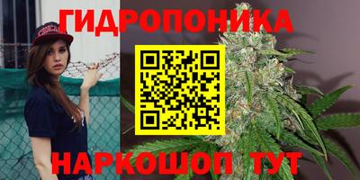 mix Будённовск