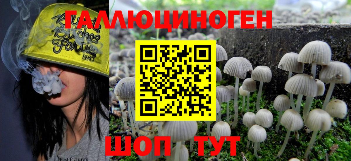 Псилоцибиновые грибы GOLDEN TEACHER Буйнакск